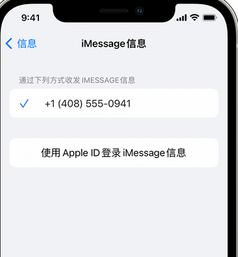 吉木乃apple维修iPhone上无法正常发送iMessage信息 