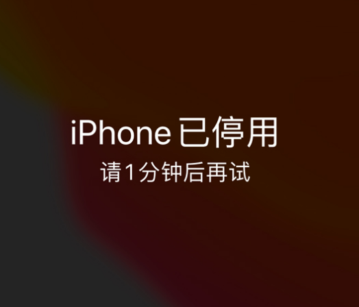 吉木乃苹果手机维修分享:iPhone 显示“不可用”或“已停用”怎么办？还能保留数据吗？ 