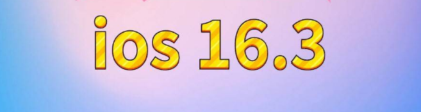 吉木乃苹果服务网点分享苹果iOS16.3升级反馈汇总 