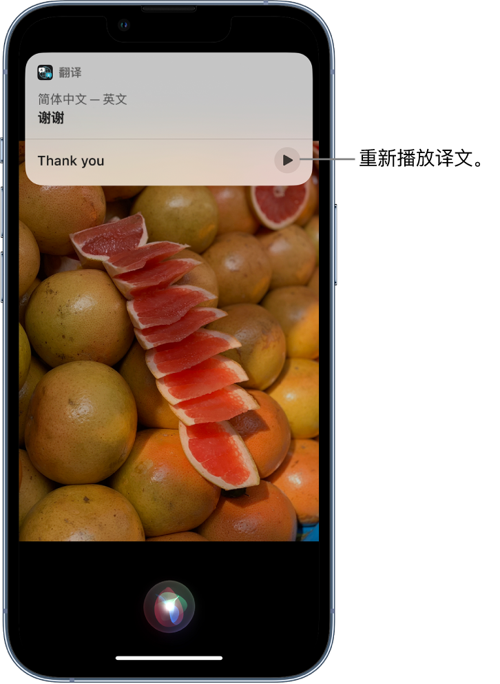 吉木乃苹果14维修分享 iPhone 14 机型中使用 Siri：了解 Siri 能帮你做什么 