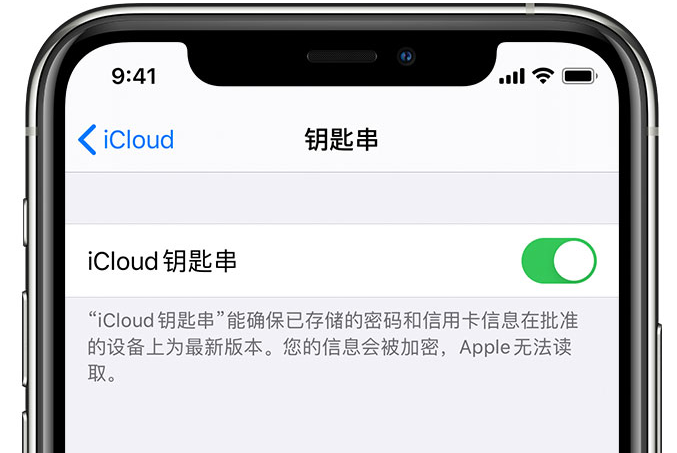 吉木乃苹果手机维修分享在 iPhone 上开启 iCloud 钥匙串之后会储存哪些信息 